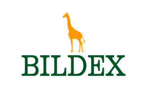Bildex Logo